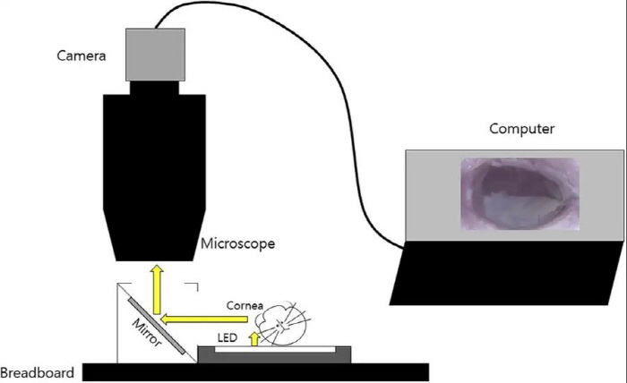 World's First Device Developed to Measure the Mouse Tear Film Lipid Layer... Expected to Improve Precision in Dry Eye Animal Studies