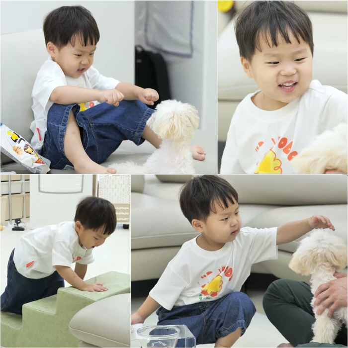 "귀여운 애 옆에 귀여운 애"…'김준호子' 정우, 강아지 앞 오빠美 가득('슈돌')