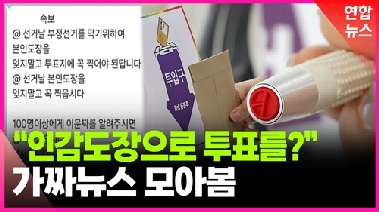 [영상] '인감도장 투표' 가짜뉴스 기승…선관위 “기표용구로 투표해야”