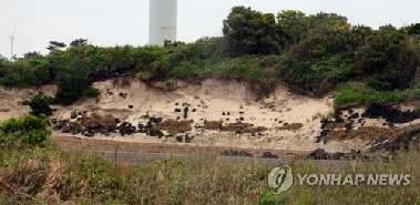 [해안사구의 재발견] ① 제주 김녕사구, 국내 최대 사구에서 소형 사구로