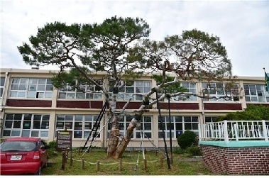 대한민국 넘어 세계로 뻗어가는 성장동력 '진주 K-기업가정신'
