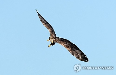 [샷!] “내 영혼도 함께 여행을 떠난다”