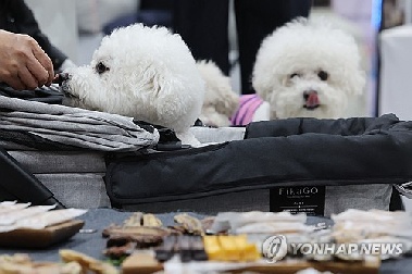 [샷!] 강아지도 입학시험 본다…“스카이개슬”