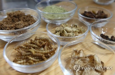 [팩트체크] 개미는 못 먹는다고?…식용 허용되는 곤충은