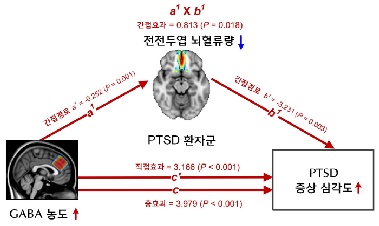시간 지나도 선명한 'PTSD'…국내 연구진, '공포 기억' 사라지지 않는 이유 찾아