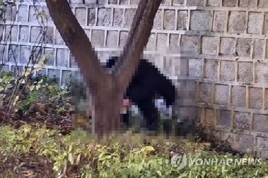 [샷!] 무엄하도다…'용변 테러'·'어좌 털썩'