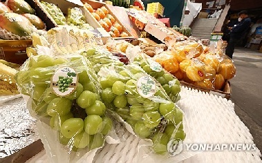 '과일의 에르메스'라던 샤인머스캣, 제일 싼 포도 됐다