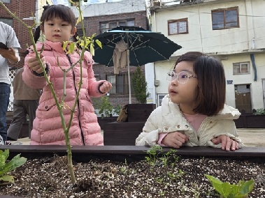 [빈집의 재탄생] 악취 진동하던 '쓰레기 집'이 마을 텃밭으로