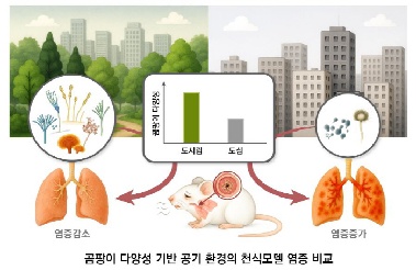 서울 도심공원 많은 자치구 천식 환자 절반…숲 곰팡이 '공기 백신' 역할