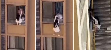 불륜남 아내 귀가에 10층 외벽 타고 달아난 여성…“스파이더걸 같다”