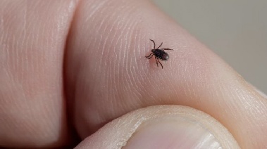 돌아가신 어머니 침대에 누웠던 아들, 같은 병 걸려…원인은 '이것'