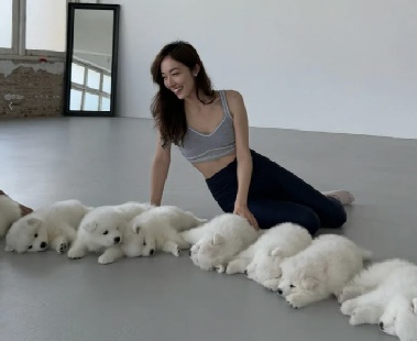 “배 위에 올라타도 행복”…강아지들과 요가, '힐링 체험' 화제