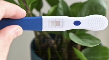 방학 후 여학생들에 '임신 테스트 강요' 기숙사 논란…“양성 땐 입소 거부”