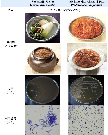 “전통발효식품 유래 'K-유산균' 식품원료 등재…국제시장 경쟁력 강화”