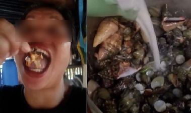 '독성' 게 먹은 인기 음식 인플루언서 숨져…“위험한 줄 알면서 왜?”