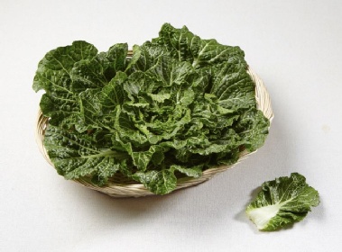 '두쫀쿠' 밀어낸 '봄동', 건강 효과…영양소 손실 줄이려면?