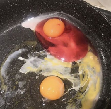 계란 깼더니 '핑크빛'…“먹으면 안 돼” 이유는?