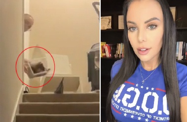 “세입자 내쫓으려고…” 살아있는 거미 뿌린 여성 정치인 '논란'