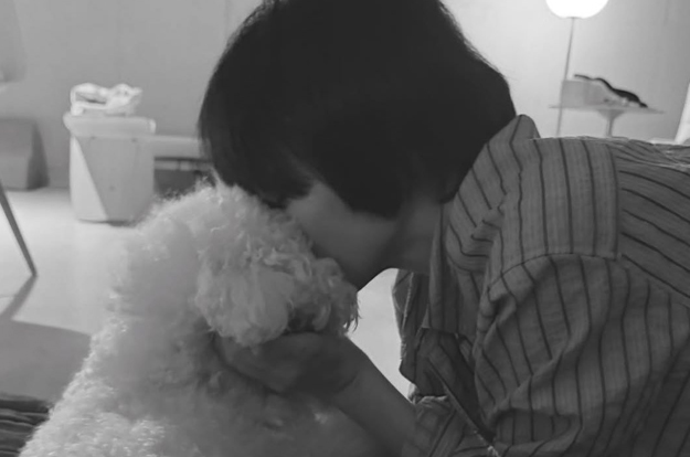 송혜교, 그리움 담긴 입맞춤 “보고 싶었어”..김혜수→엄정화도 “♥” 응답