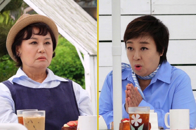 박원숙, 혜은이와 불화로 '같이 삽시다' 하차 발언 “마음고생 심해”
