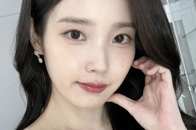 뉴진스 떠나고 아이유 등장..인천공항 세관 새 얼굴 “불법 반입 근절 앞장”