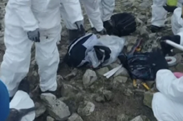 ‘남극의 셰프’ 펭귄 학대 논란에 입 열었다..“출연진 아닌 연구요원”