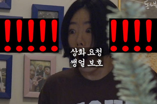 강남, 또 사고 쳤다..♥이상화 경악한 역대급 스케일 '35kg 케밥 파티'