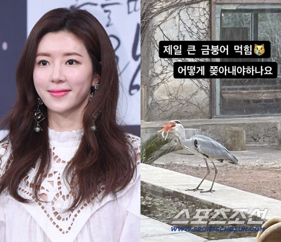 박한별 ,제주 카페에 왜가리 출몰..“제일 큰 금붕어 먹혔다” 패닉