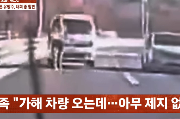 진태현도 분노했던 마라톤 선수 사망 참사..유족 “돈벌이 대회에 선수는 희생양”