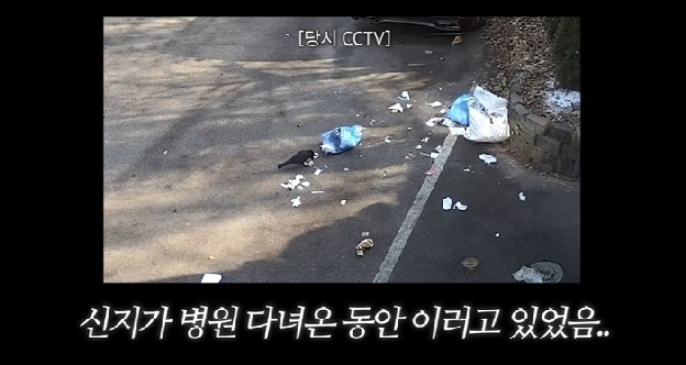 '혼전동거' 신지♥문원, 신혼집에 날벼락..CCTV에 찍힌 난장판 “옆집까지 난리”