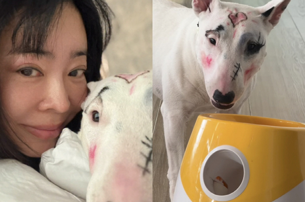 “이게 무슨 짓?” 이혜영, 반려견 얼굴에 화장 덕지덕지..동물학대 논란