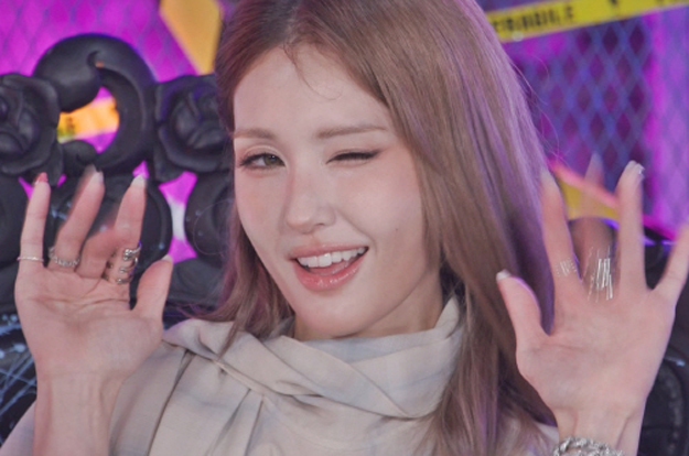 전소미, 한국·네덜란드·캐나다 '여권 3개' 보유..“갈 때마다 골라 써”