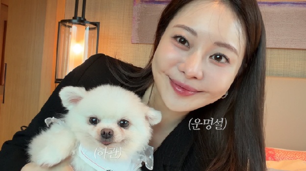 아옳이, '하루 160만원' 반려견 호캉스..'66억 자가' 재력가 플렉스