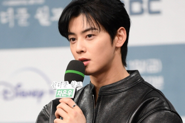 차은우, '200억 세금 완납'했는데..'탈세 인정 아님' 이유 따로 있었다