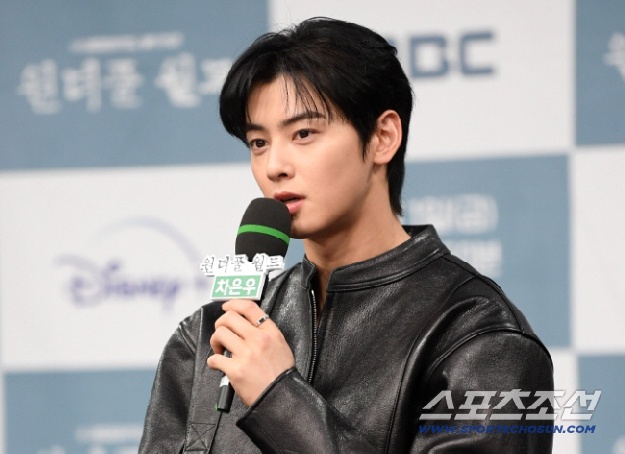 '130억 완납' 차은우, 군악대 보직 그대로…국방부 “징계 사유 아냐”