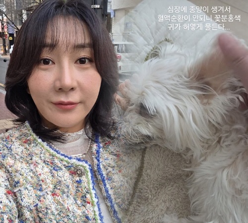 친언니 잃은 허안나, 또 가슴 아픈 소식..“심장 종양에 하얗게된 귀” 반려견 건강 악화에 먹먹