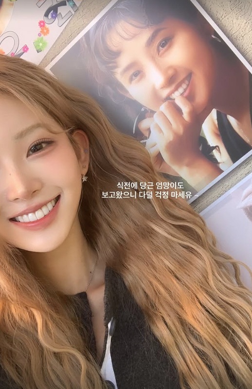 '故 최진실 딸' 최준희, 가족사 건드린 악플에 분노 “저딴 댓글 다는 X이 뭘 안다고”