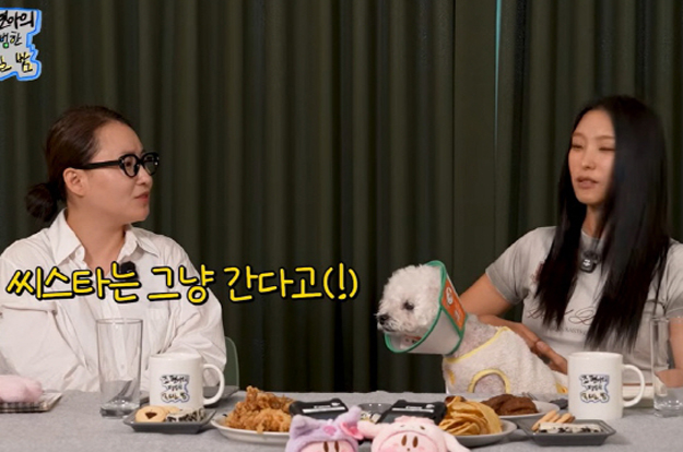 조현아, 씨스타 연예인병 폭로 “음악방송서 인사 안 하고 갔다더라”