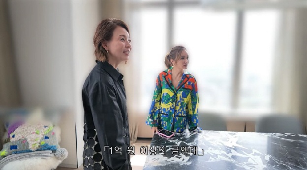 야노시호도 감탄한 도쿄 '300억 펜트하우스'…7m 천장·1억 소파 '입이 떡'