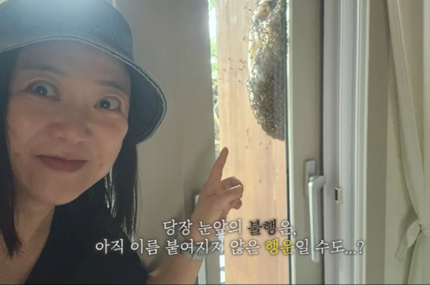 김숙 제주집 초비상..벌떼 습격에 119 긴급신고 “만 마리 넘어”